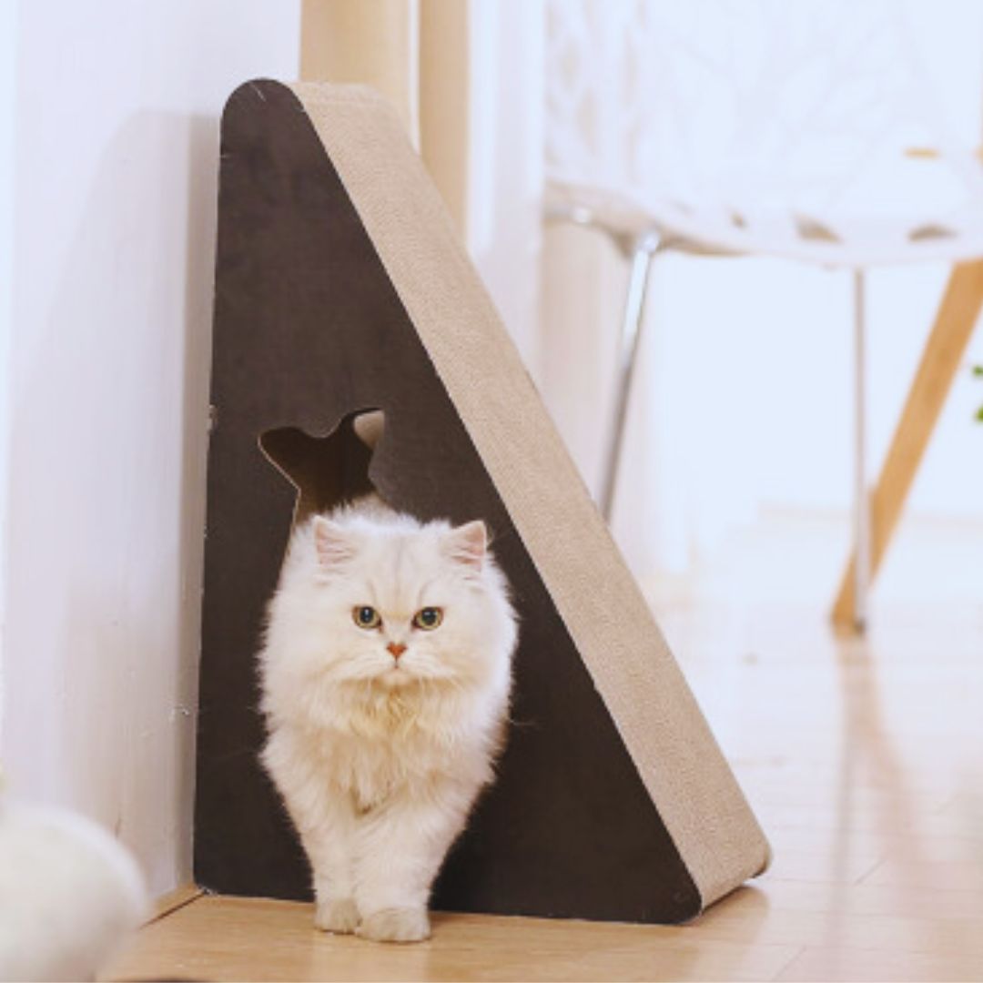 Medium triangular cat scratcher with a fish-shaped window in its dark side, a white cat walking through