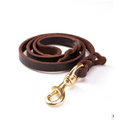 Brown leather dog lead coiled with its braided end and gold-tone swivel snap hook