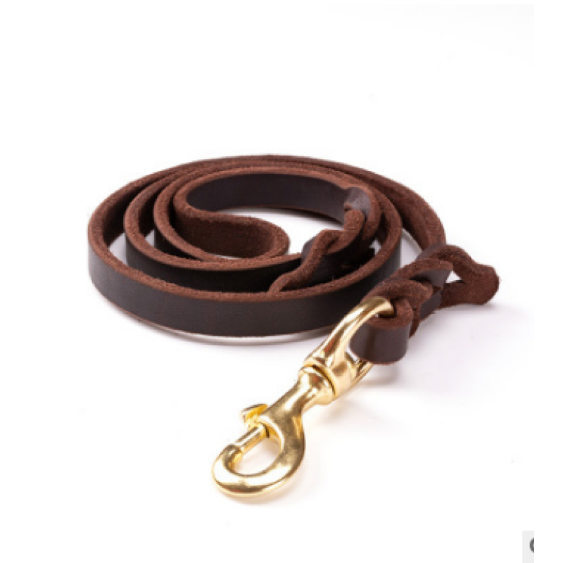 Brown leather dog lead coiled with its braided end and gold-tone swivel snap hook