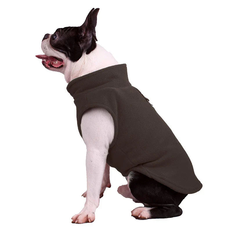 Boston terrier sitting in the dark brown fleece dog vest
