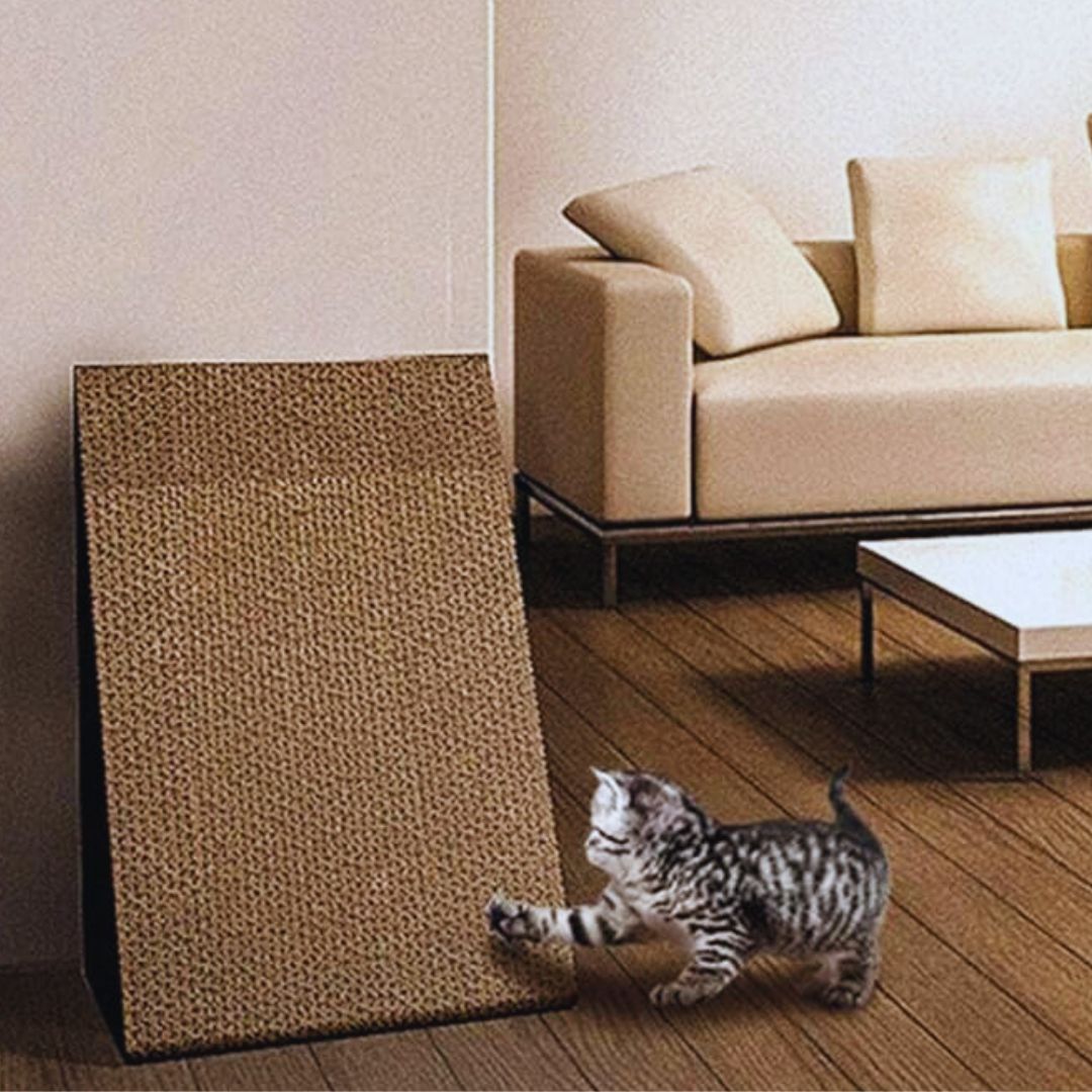 Small triangular cardboard cat scratcher in a living room with a tabby kitten pawing the cardboard