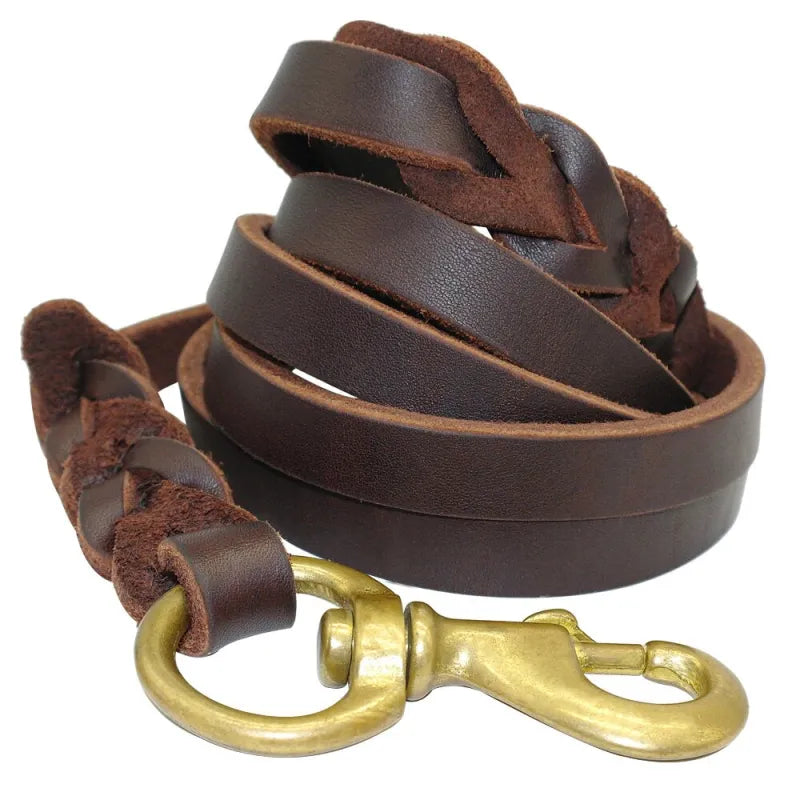 Close view of the brown leather lead's braided join and gold-tone snap hook
