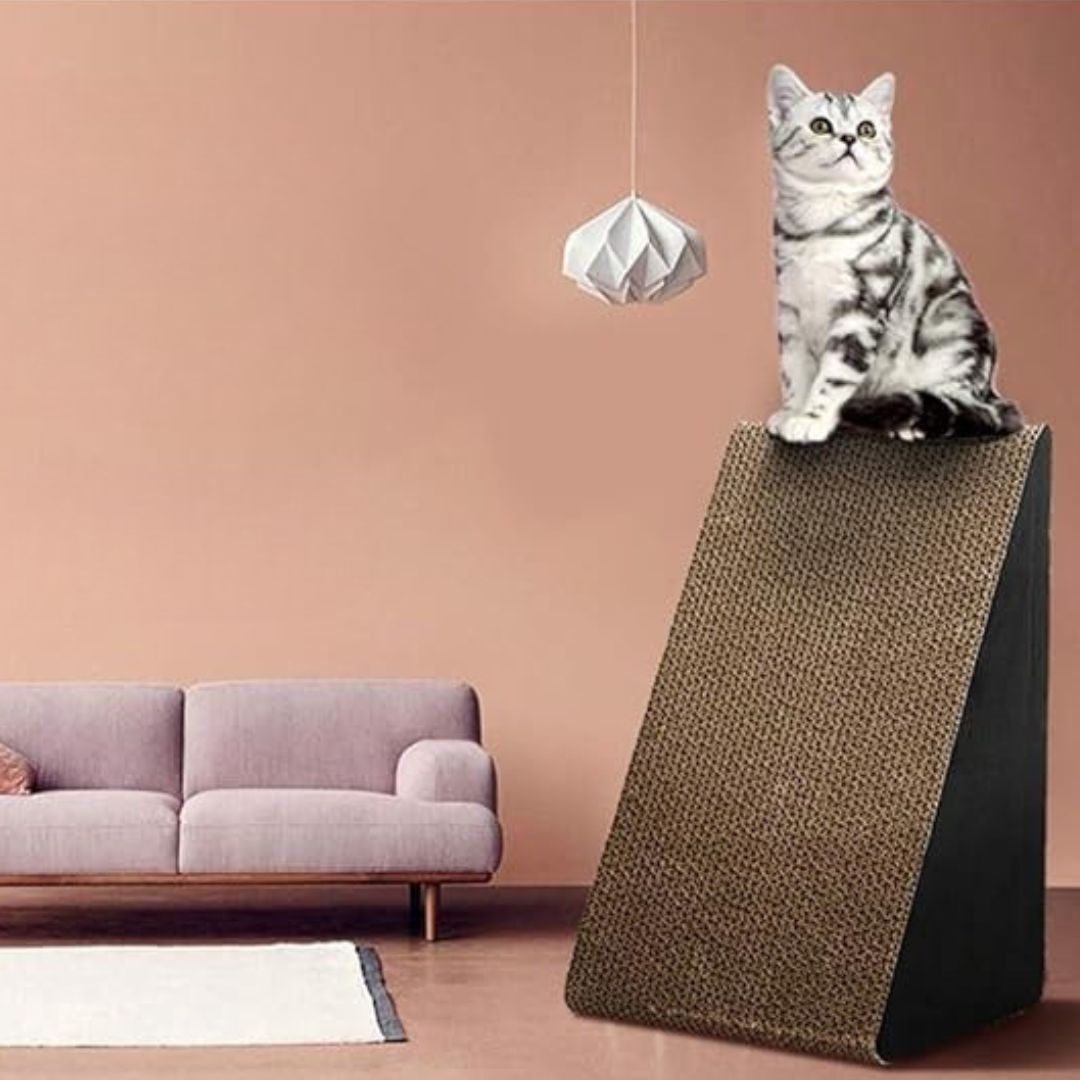 A silver tabby cat sitting on top of a triangular cardboard cat scratcher