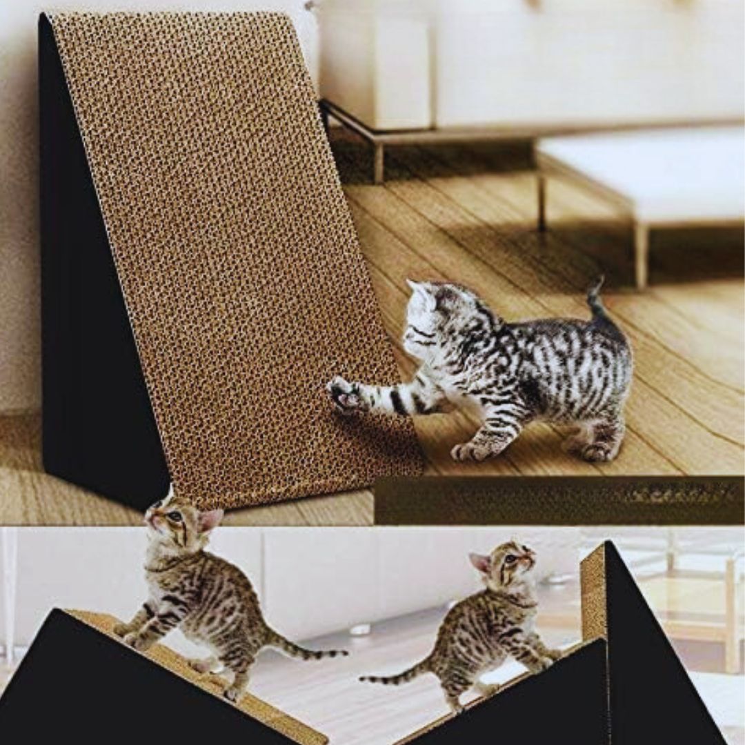 Small cardboard cat scratcher with a kitten, and two wedges laid on their backs as ramps with kittens climbing