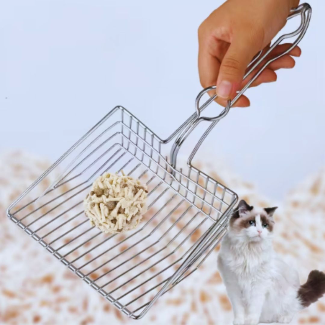 A hand holding the stainless steel wire litter scoop with a clump of litter in it, a cat looking on