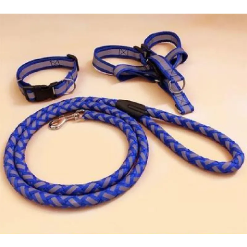 Blue reflective harness and braided rope lead, with a matching collar beside them