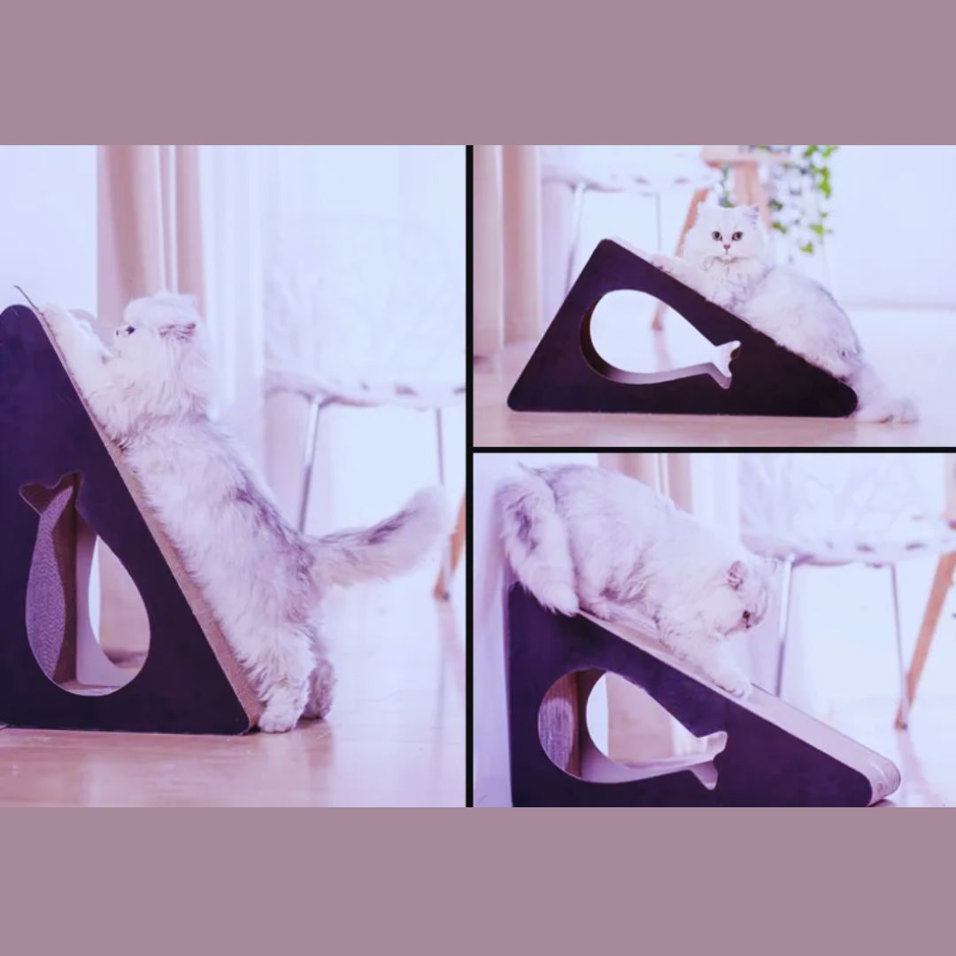 Three views of a white cat scratching and lying on the Medium scratcher with the fish-shaped window