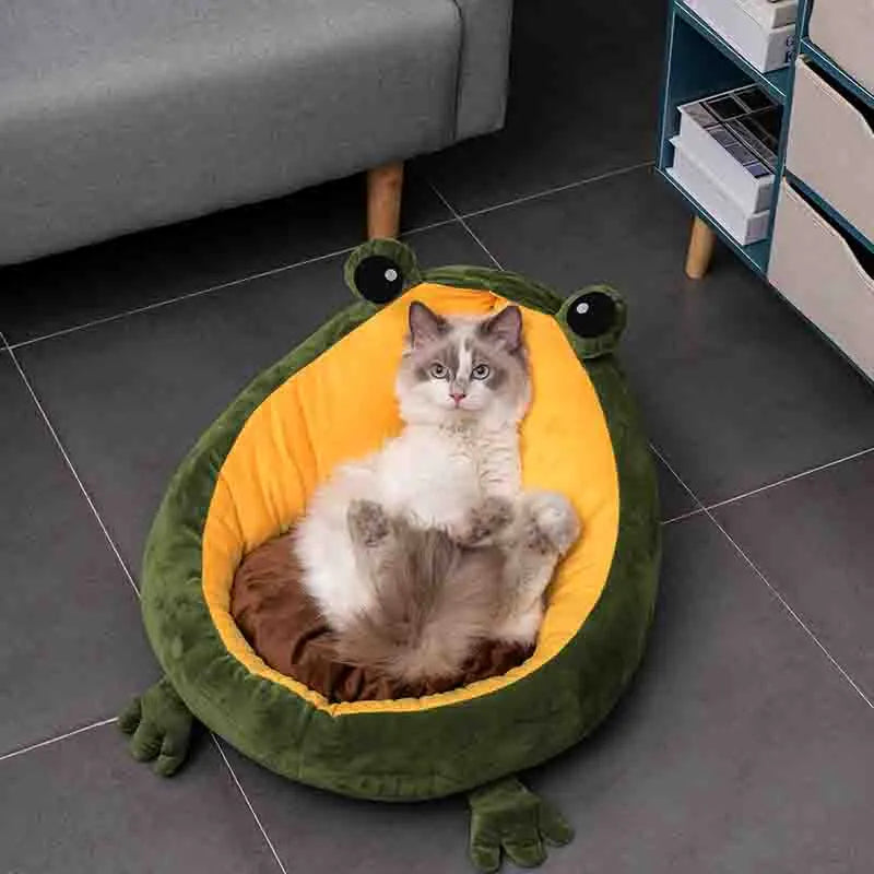 A ragdoll-type cat lying in the green and yellow frog-shaped pet bed