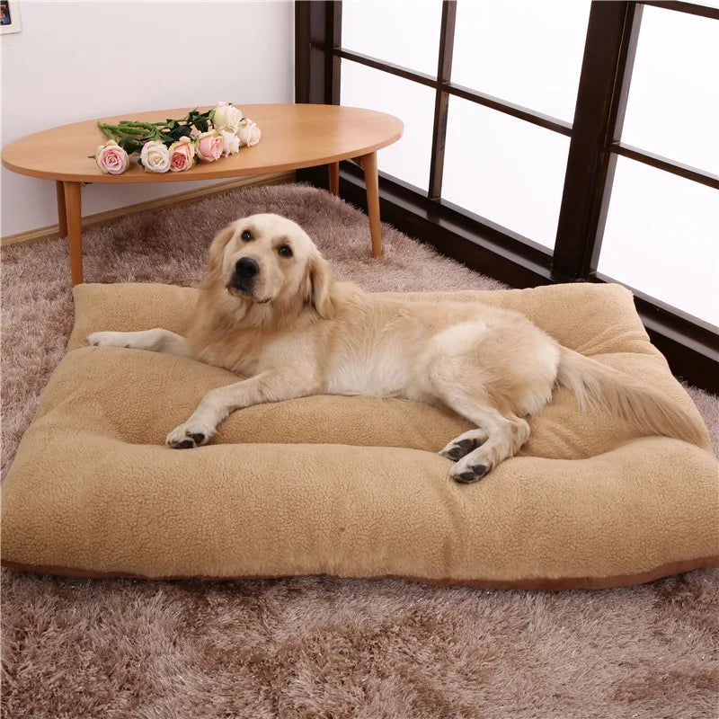 Golden retriever lying on the camel curly-fleece dog cushion