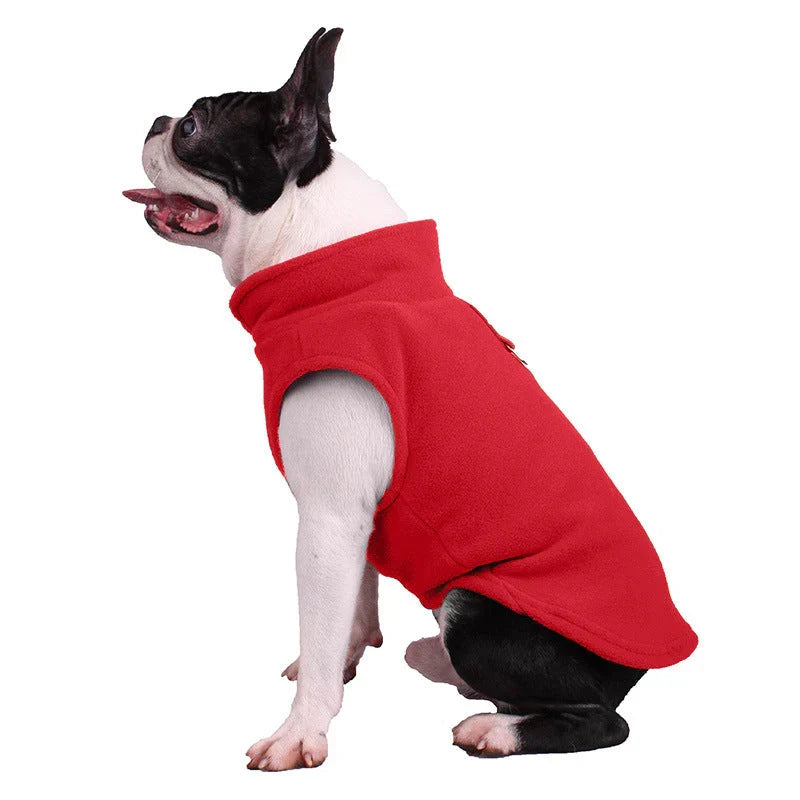 Boston terrier sitting in the red fleece dog vest