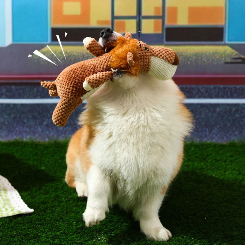 A fluffy dog carrying the orange lion toy on artificial grass