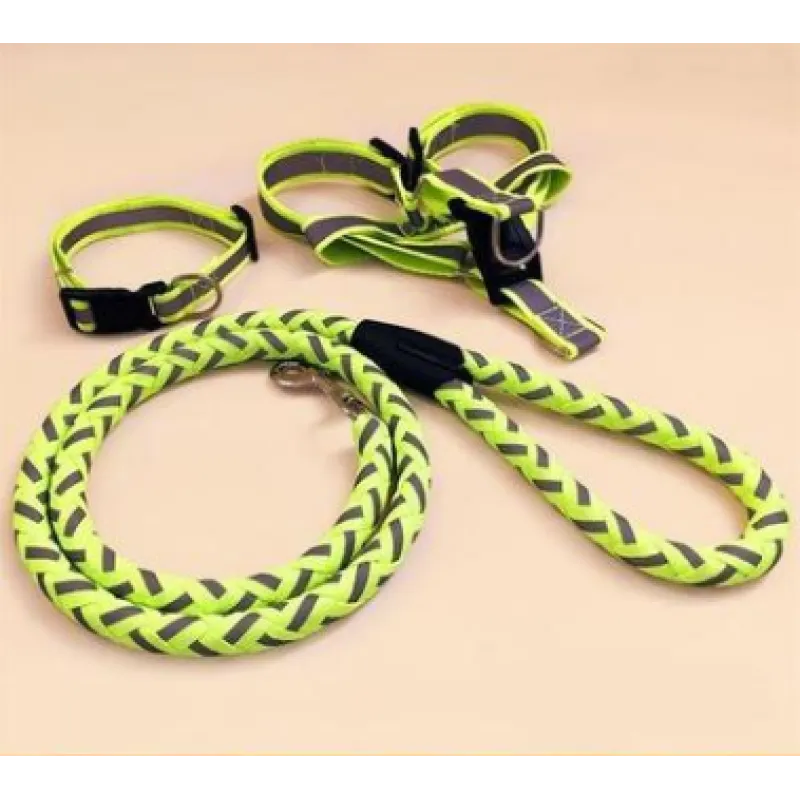Neon green reflective harness and braided rope lead, with a matching collar beside them