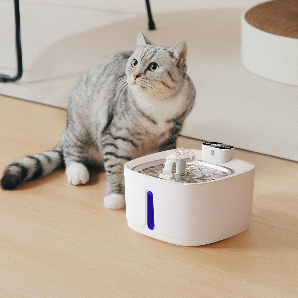 A silver tabby cat looking at the square white water fountain running on a wooden floor
