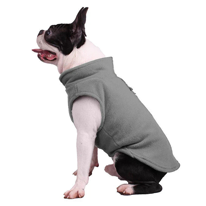 Boston terrier sitting in the grey fleece dog vest