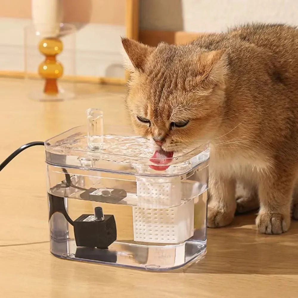 A tabby cat drinking from the clear fountain, the pump and filter visible in the tank