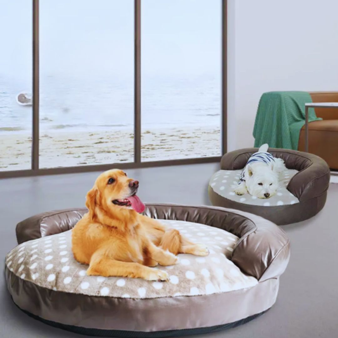 A golden retriever lying on the round taupe dog bed with a leather-look bolster, a small white dog on a second bed behind