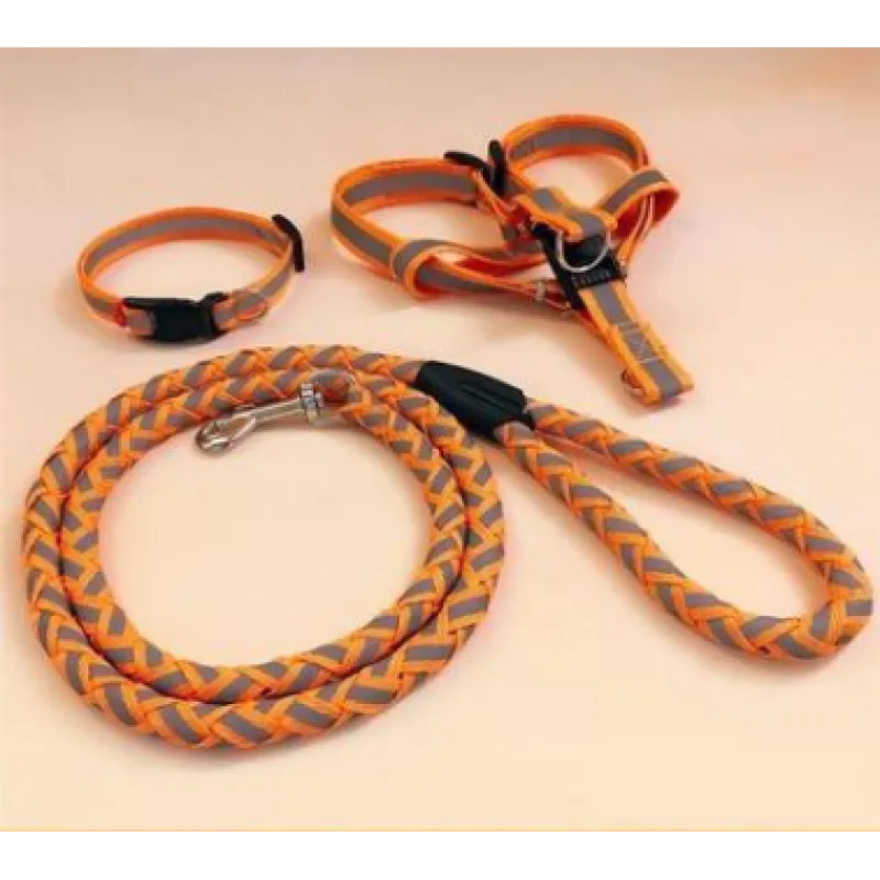 Orange reflective harness and braided rope lead, with a matching collar beside them