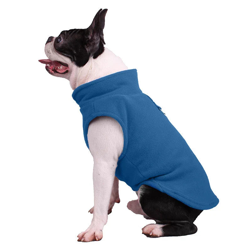 Boston terrier sitting in the blue fleece dog vest, side view