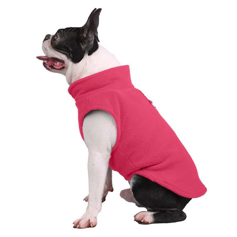 Boston terrier sitting in the pink fleece dog vest