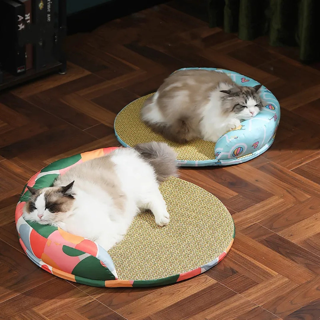 Two ragdoll cats lying on the colour block and aqua duck print round cat beds on a wooden floor