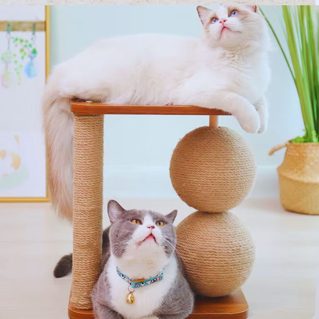 A white cat lying on the top perch and a grey and white cat sitting beside the sisal balls