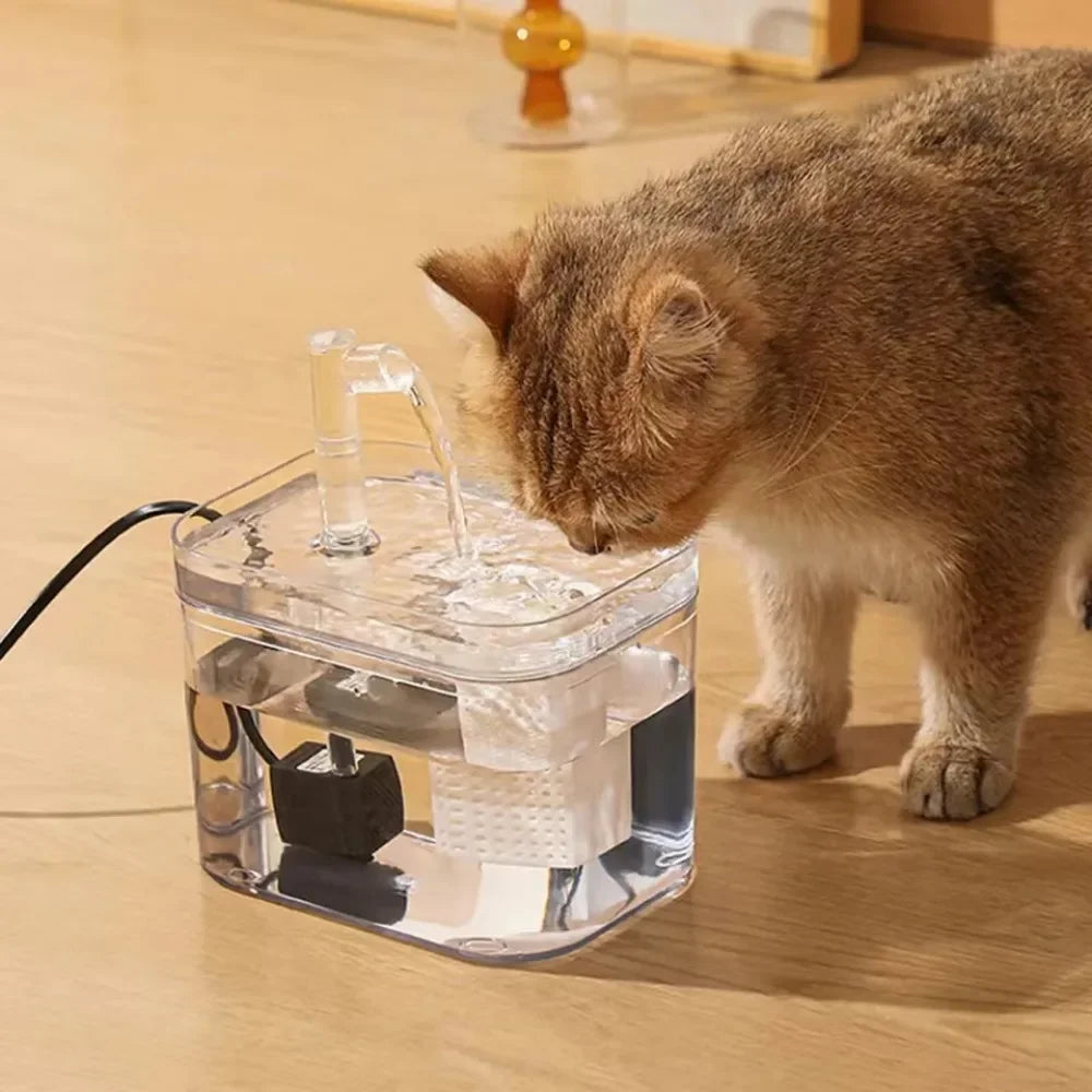 A tabby cat drinking from the clear fountain on a wooden floor
