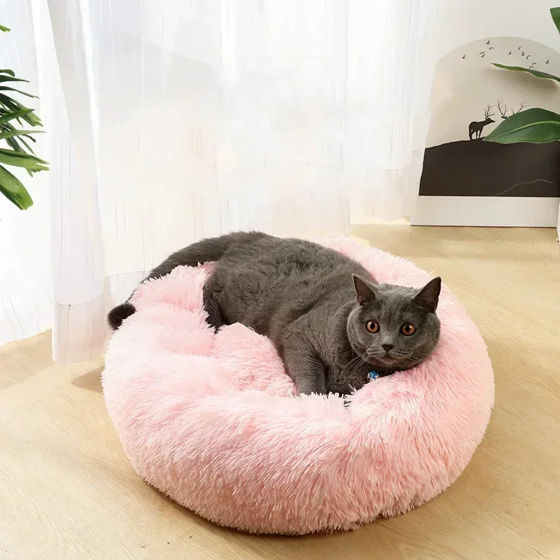 A grey cat lying on the pink fluffy donut bed by a window