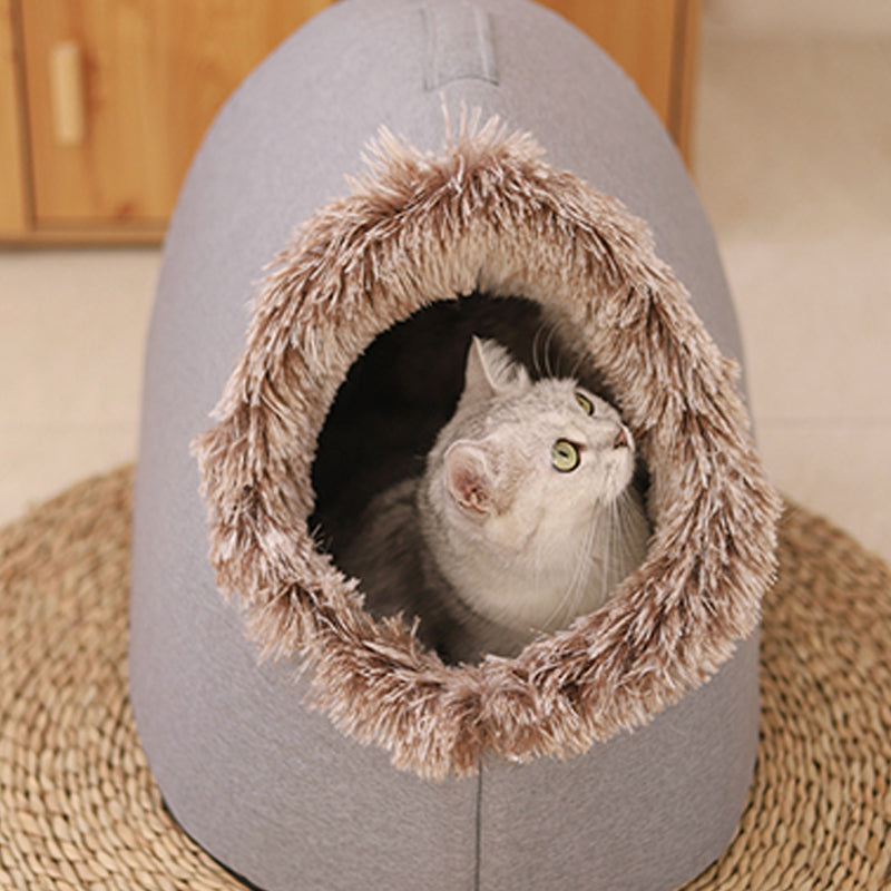 A white cat looking up from inside the grey cave bed with brown-tipped plush trim