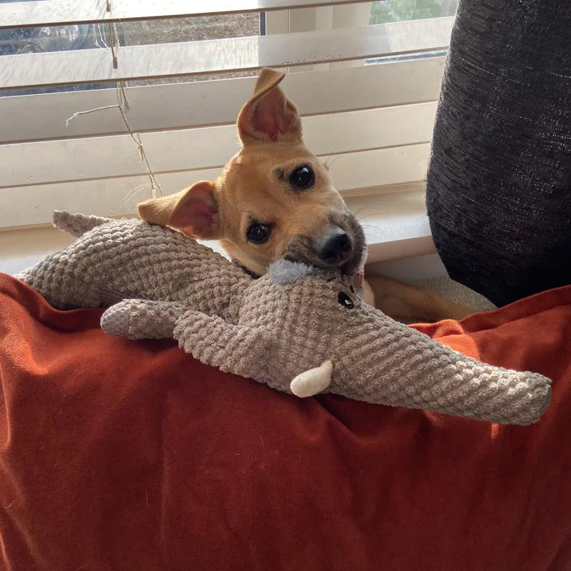 A small tan dog on a sofa with the grey elephant toy
