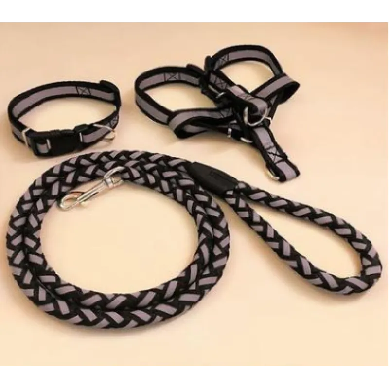 Black reflective harness and braided rope lead, with a matching collar beside them