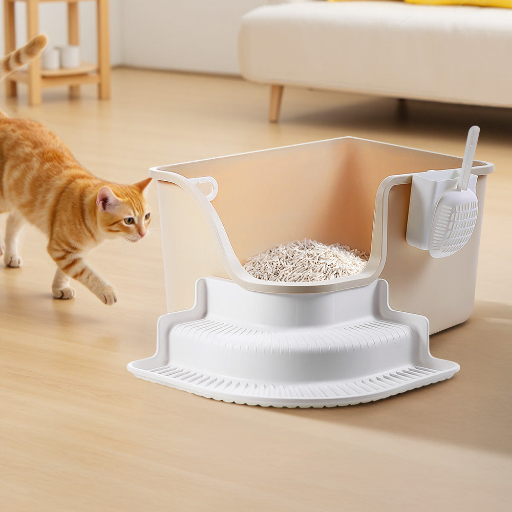 A ginger cat walking past the open-top litter box and its step
