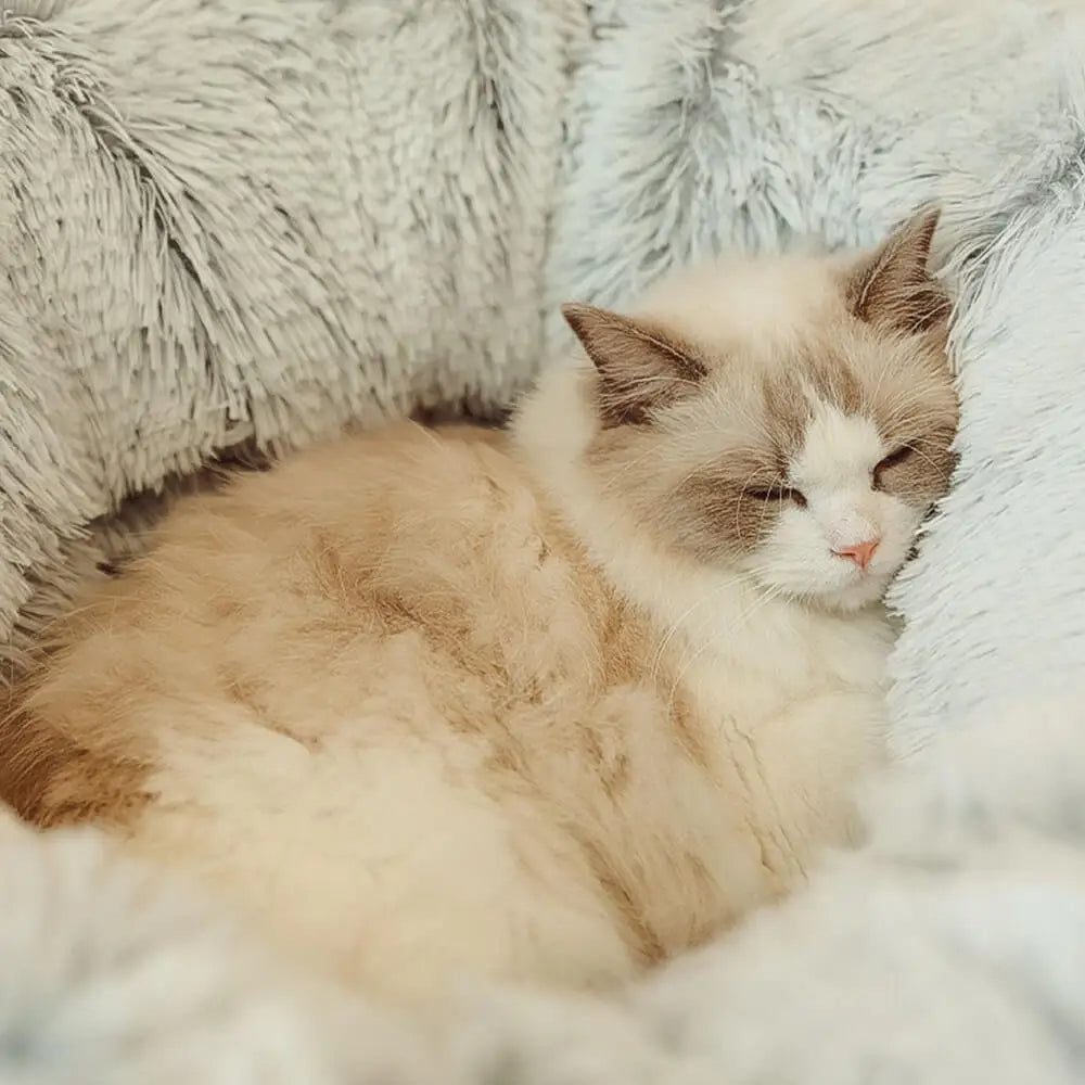 A ragdoll cat asleep in the long light grey plush of the tunnel bed