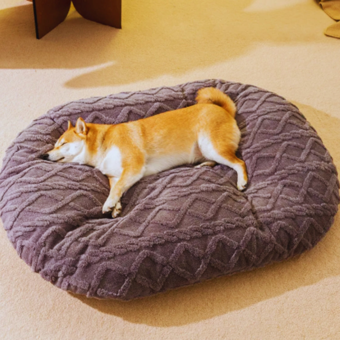 Lilac grey oval plush cushion on its own with a sleeping dog stretched out on it