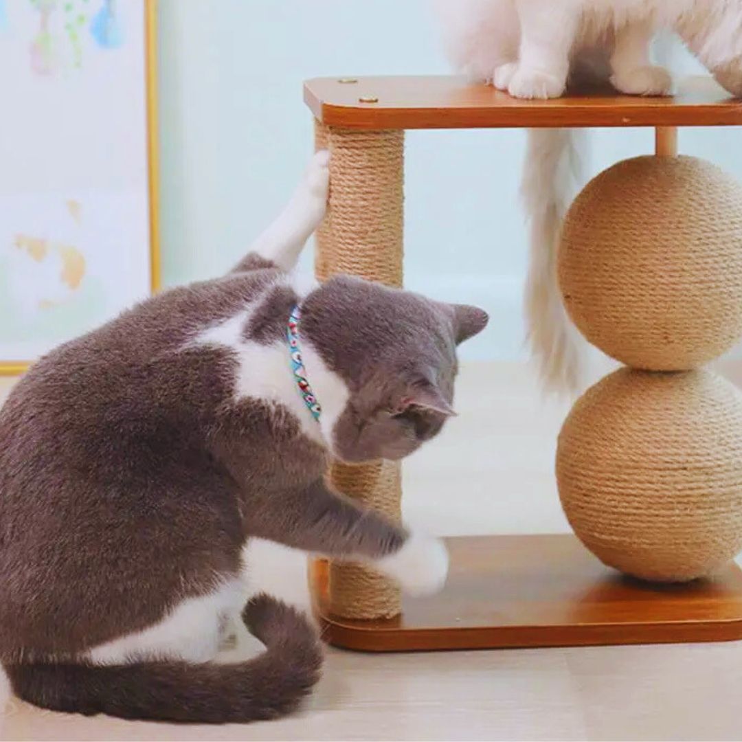 A grey and white cat pawing at a sisal post under the top perch while a white cat stands above