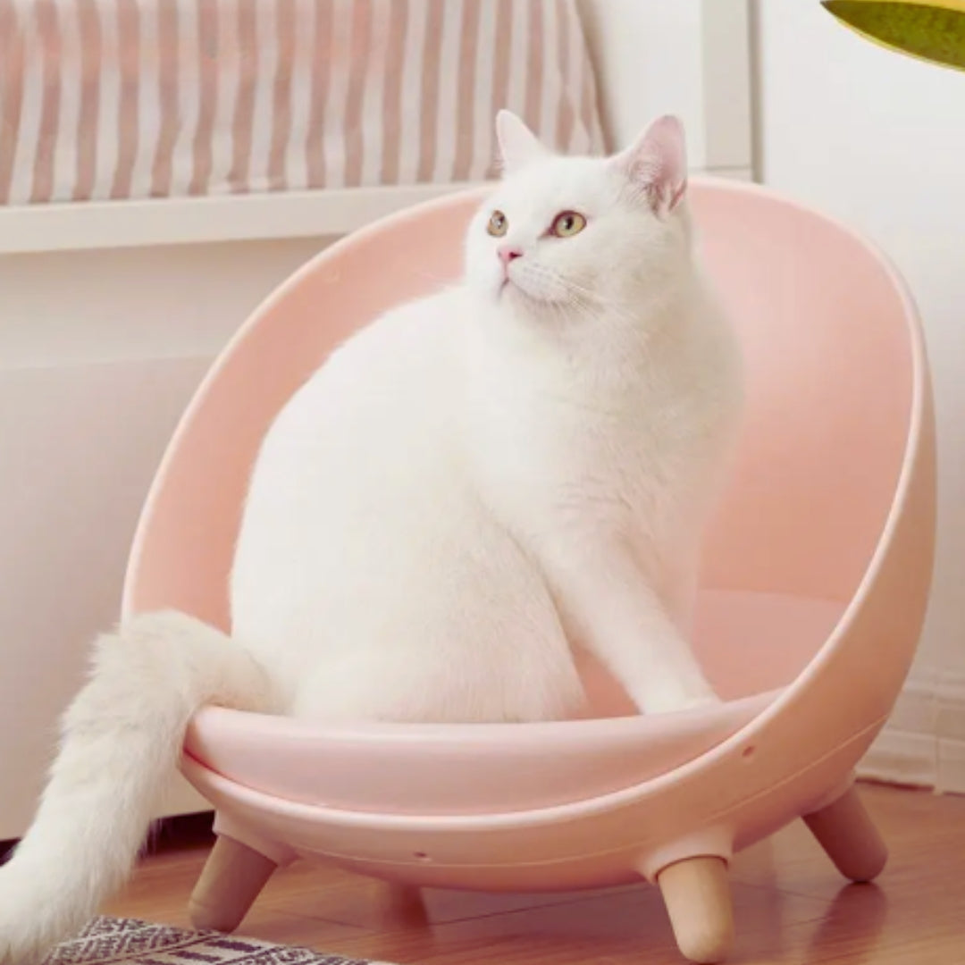 A white cat sitting in the pink egg-shaped cat bed on wooden legs