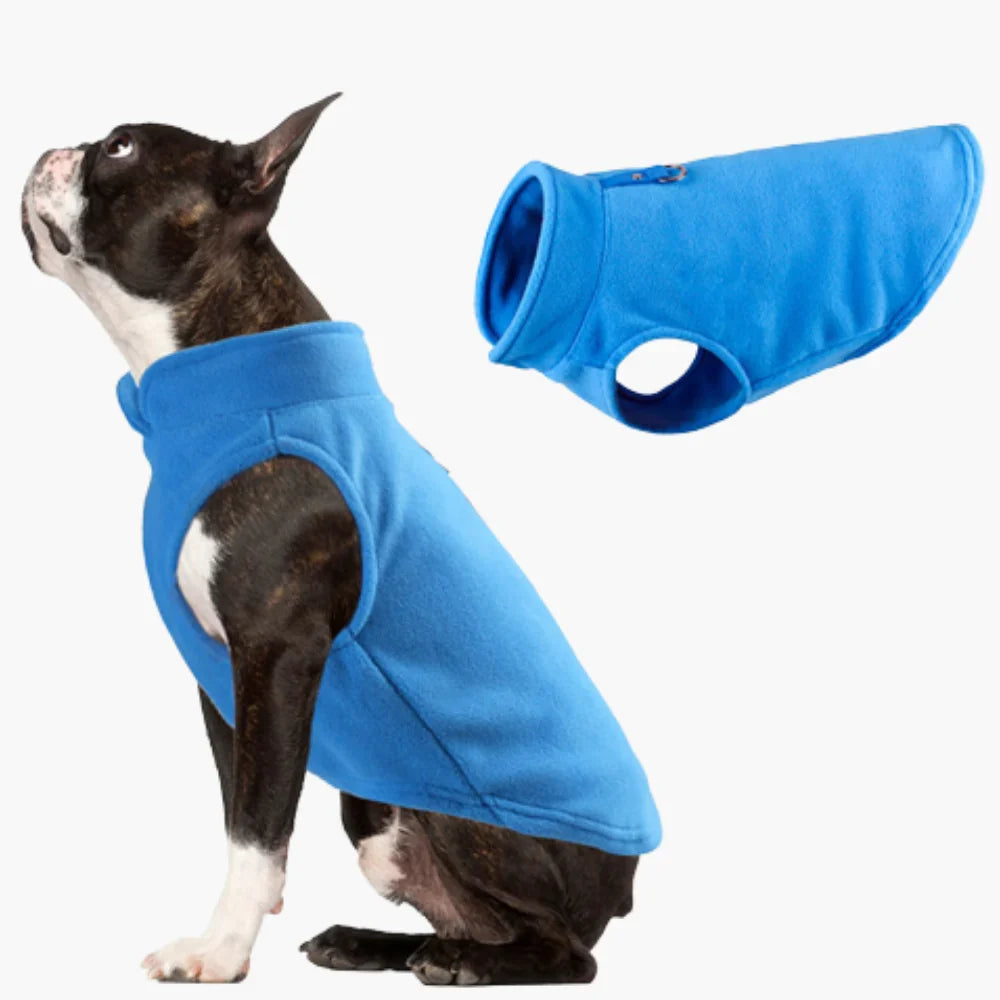 Boston terrier in the blue fleece dog vest, with the same vest laid flat beside it