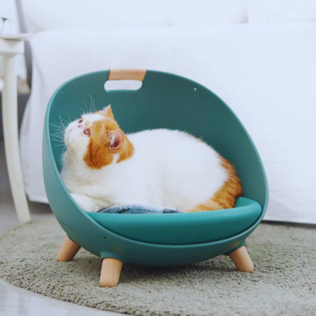 A ginger and white cat lying on the cushion of the teal green egg-shaped cat bed on a rug