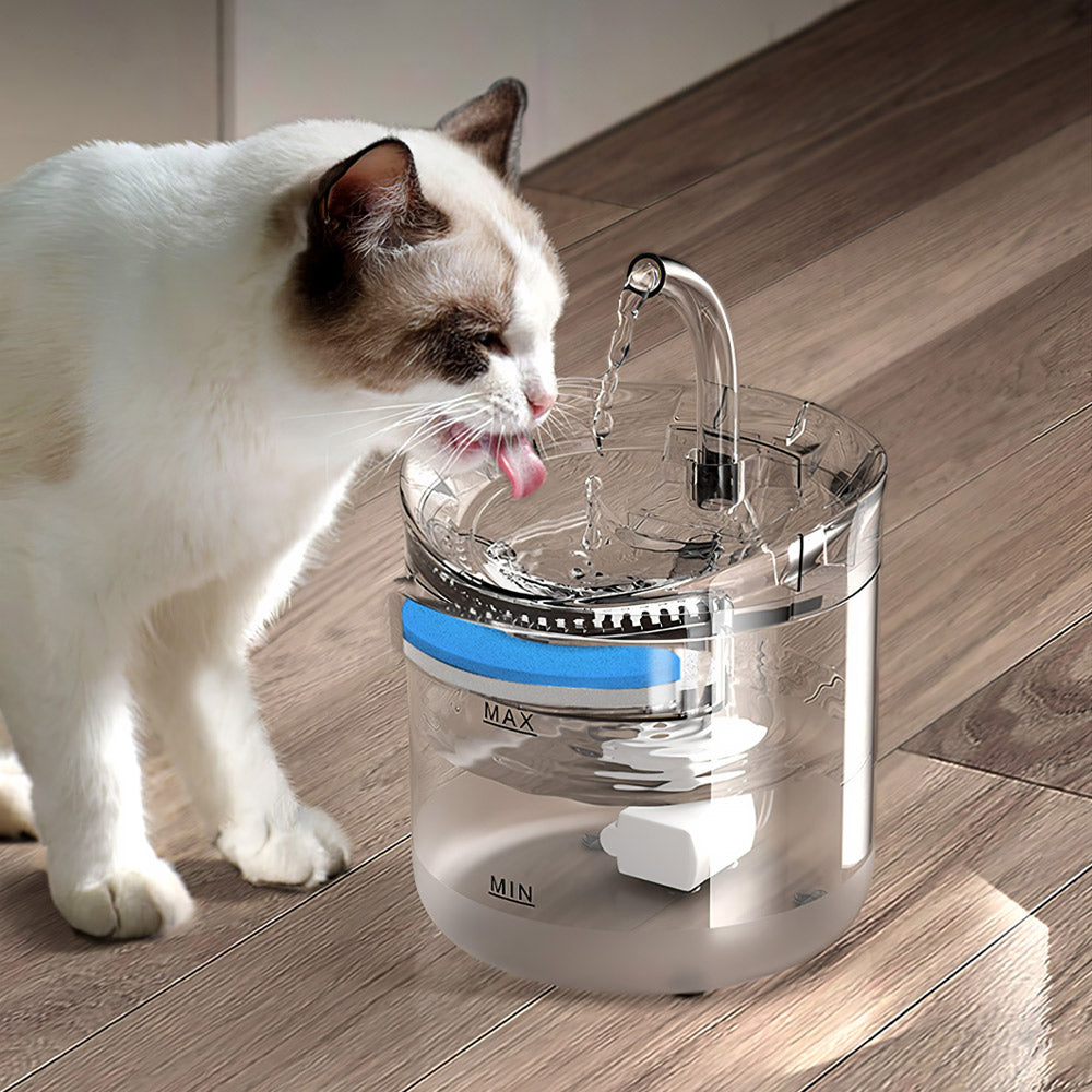 A cat drinking from the arched spout of the clear 2 L water fountain on a wooden floor