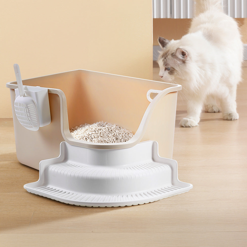 A white cat walking up to the open-top litter box filled with litter