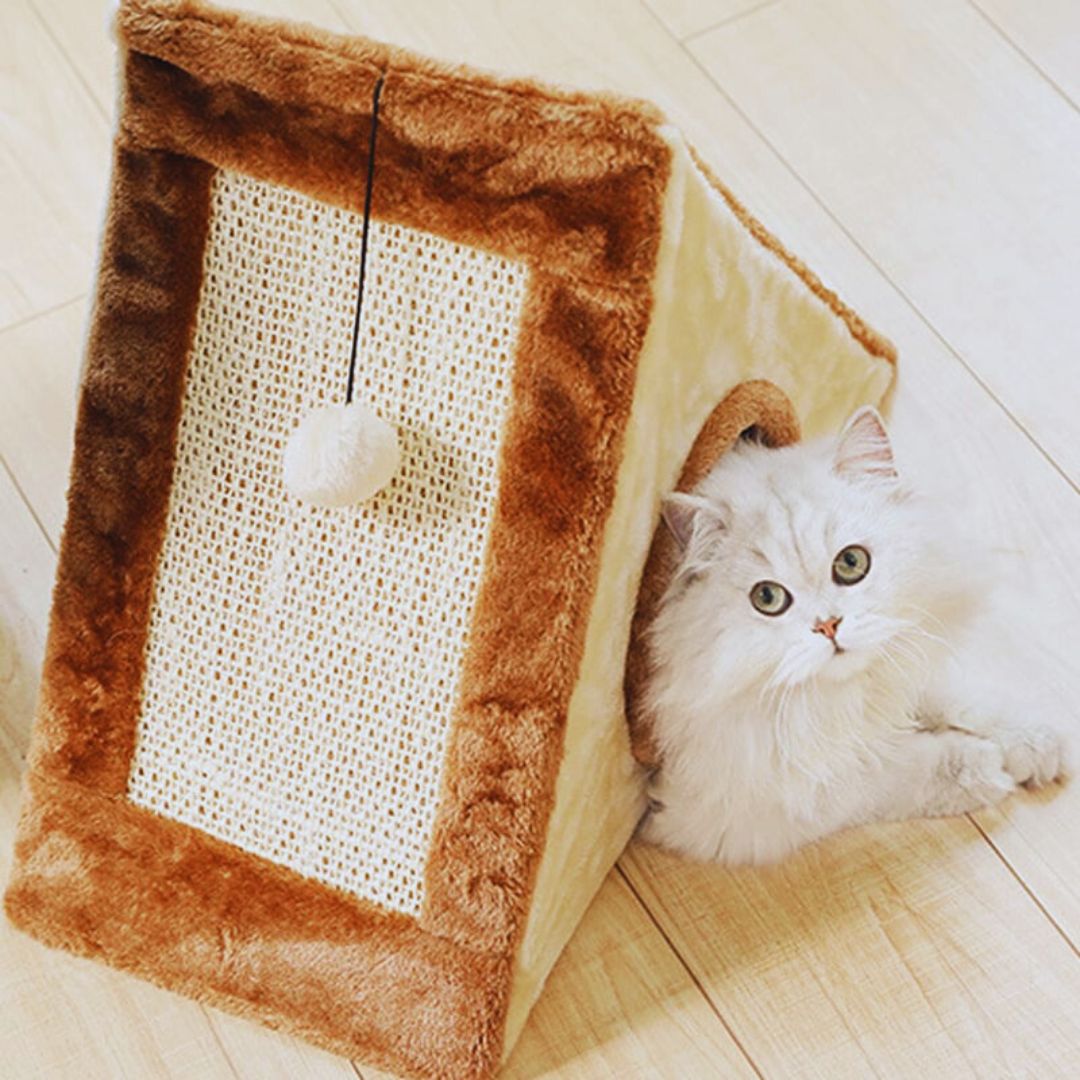 Brown and cream triangle cat house with a sisal front, a white long-haired cat lying beside it