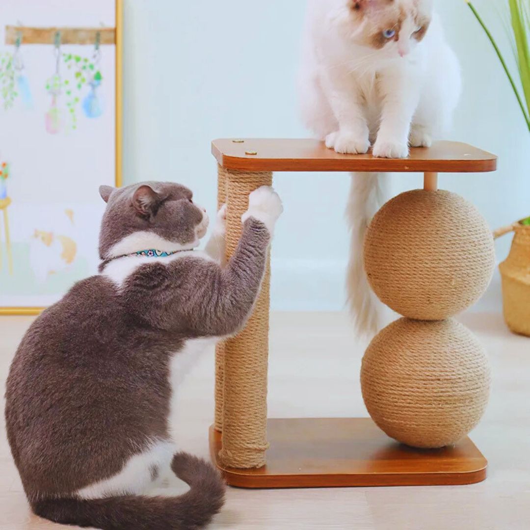 A grey and white cat scratching a sisal post while a white cat sits on the top perch