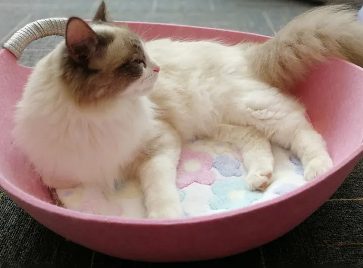 Ragdoll cat lying on a flowered cushion in the pink felt cat bed basket