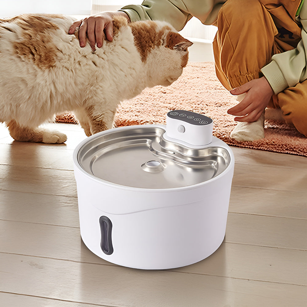 A white and ginger cat at the white pet water fountain on a wooden floor while a person kneels beside it