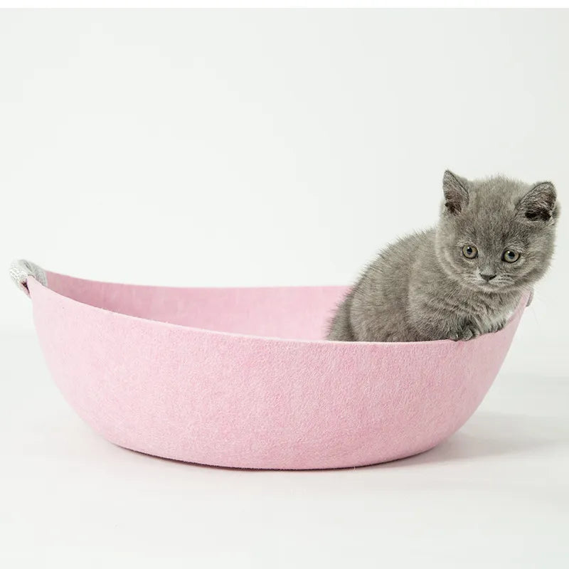 Grey kitten sitting in the pink felt cat bed basket against a white background