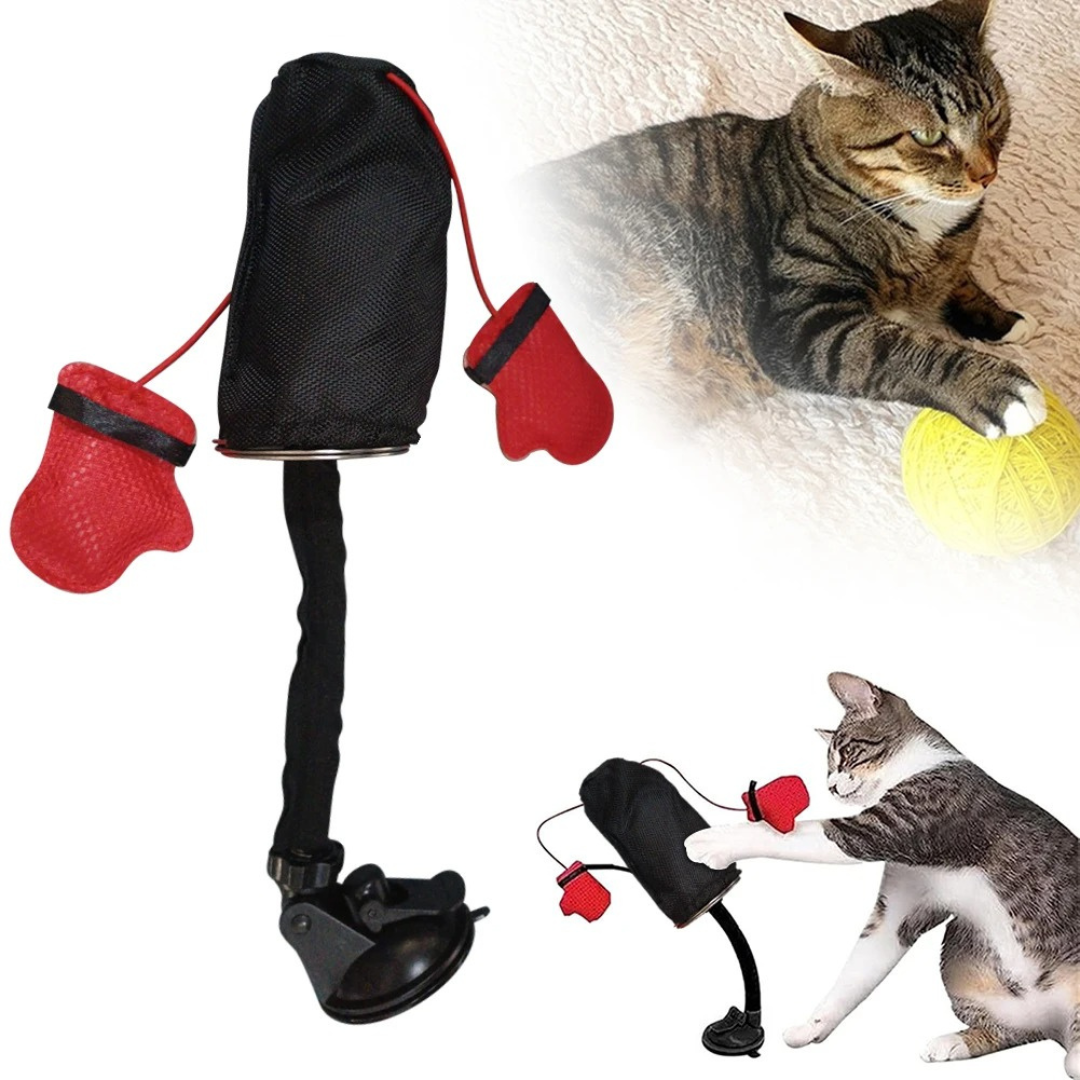 The cat punching bag toy with small photos of cats playing with it