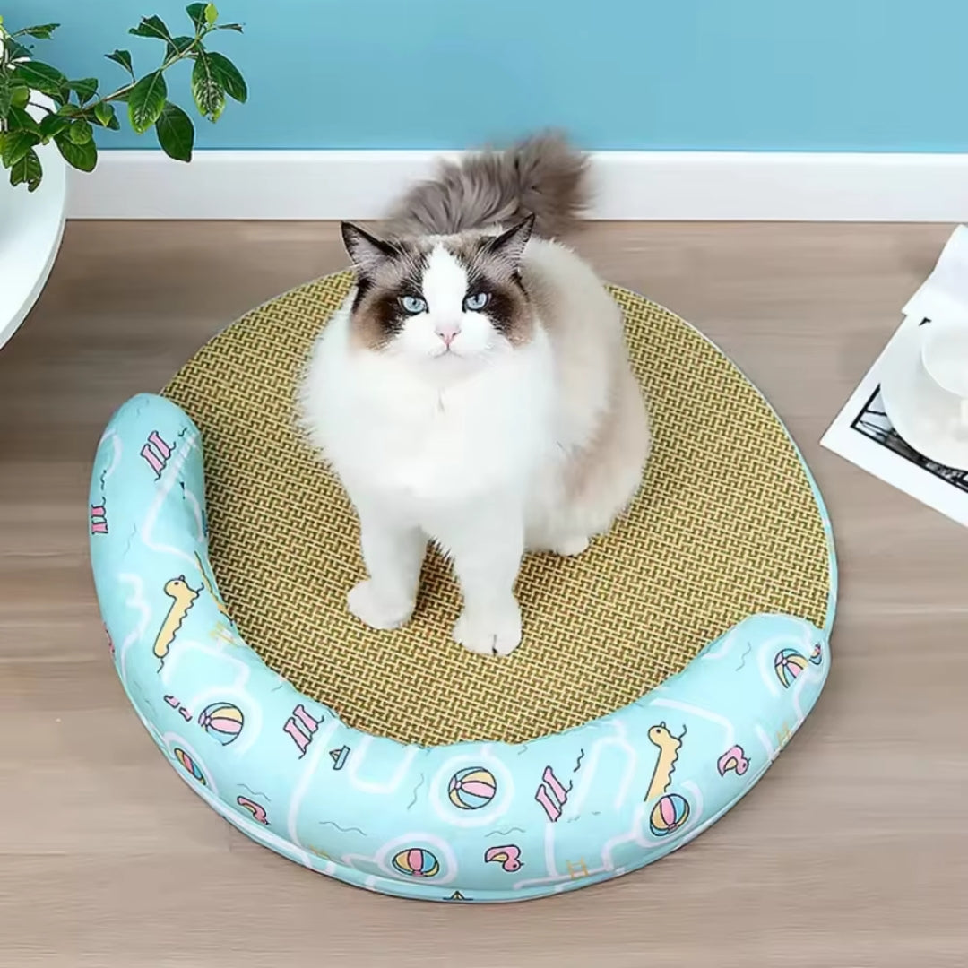 A ragdoll cat sitting on the woven mat of the aqua duck print cat bed