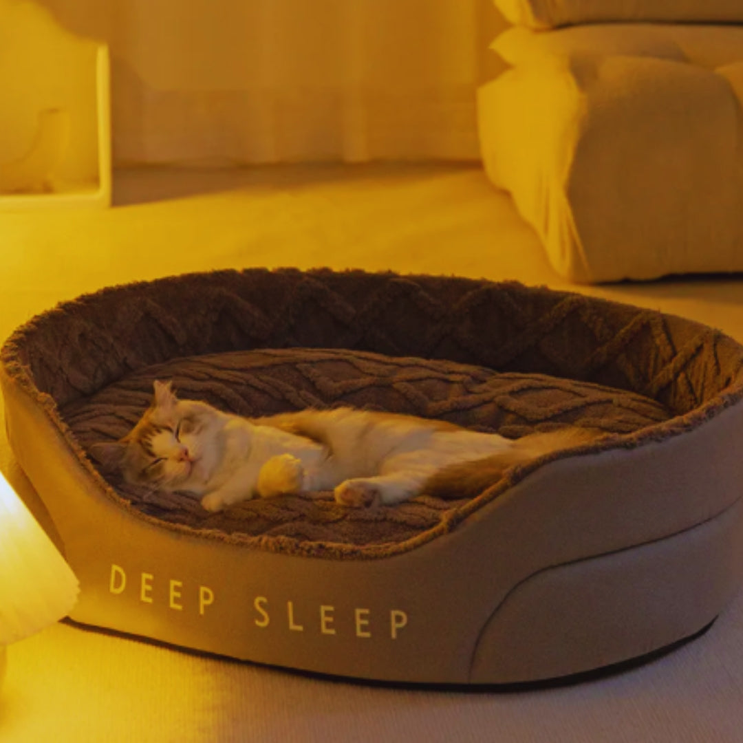 Oval raised-side pet bed in warm evening light with a cat asleep on the plush