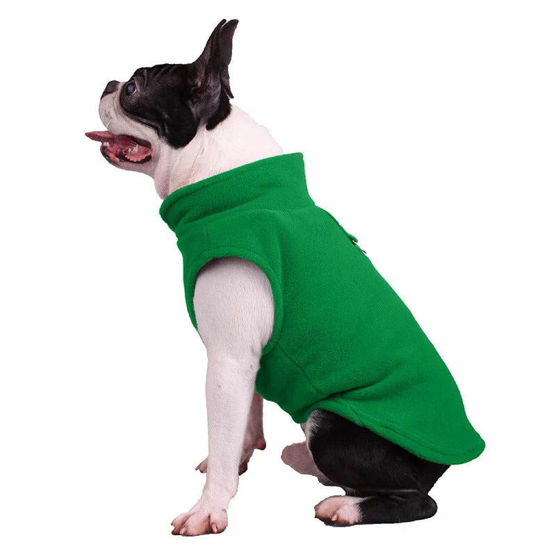 Boston terrier sitting in the green fleece dog vest