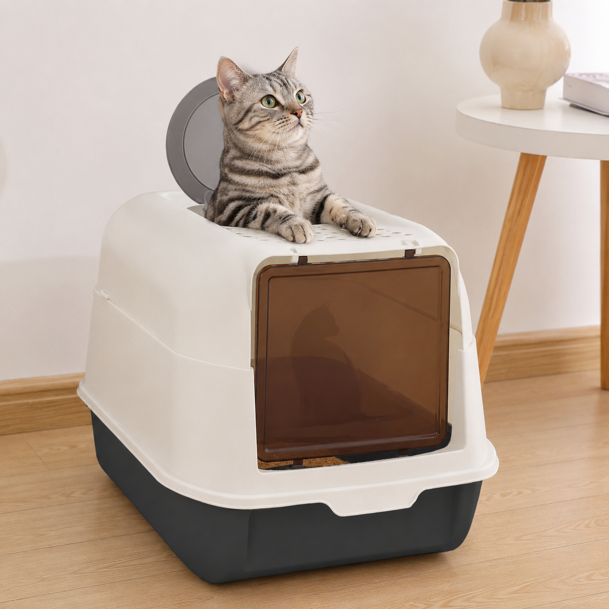 A tabby cat looking out of the round top entry of the hooded litter box beside a small side table