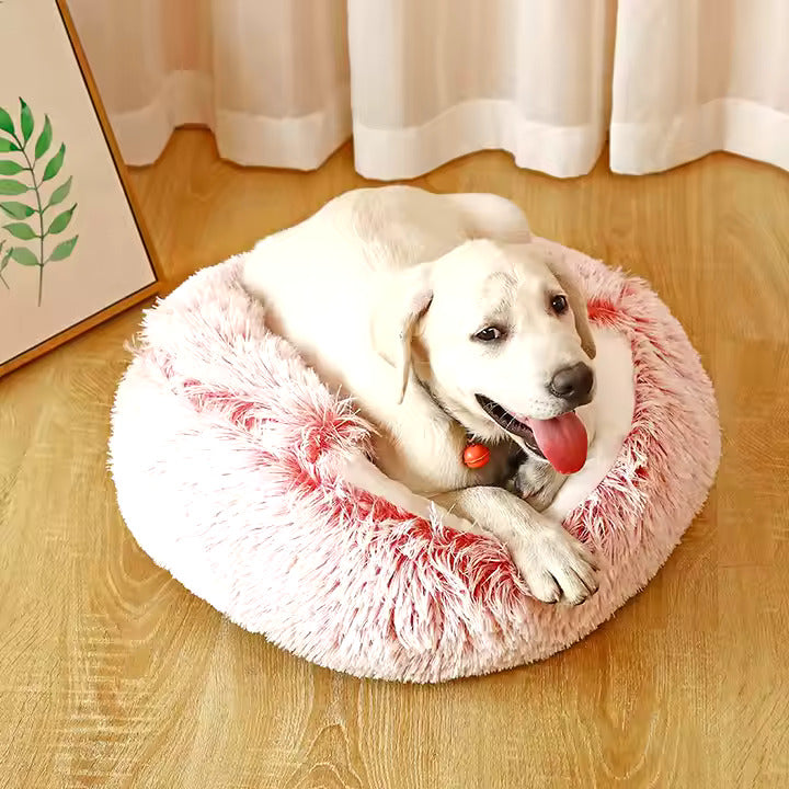 A white dog lying on a pink plush round bed with the hood folded down, on a wooden floor